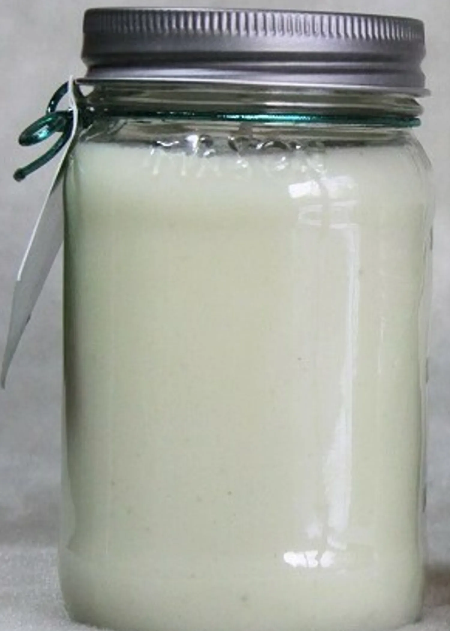 Discount The Jolly Christmas Shop Bedrock Tree Farm 16 Oz Fir Needle Scented Christmas Candle MJ16NAT