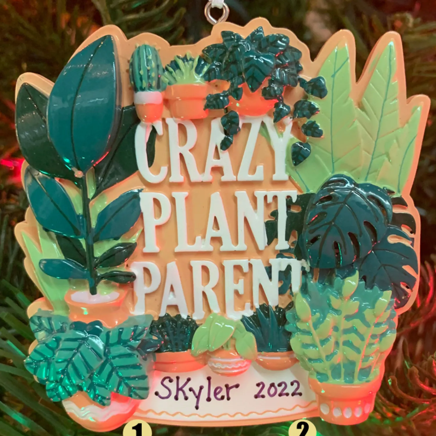 Best The Jolly Christmas Shop Crazy Plant Parent House Plants Personalized Christmas Ornament OR2288