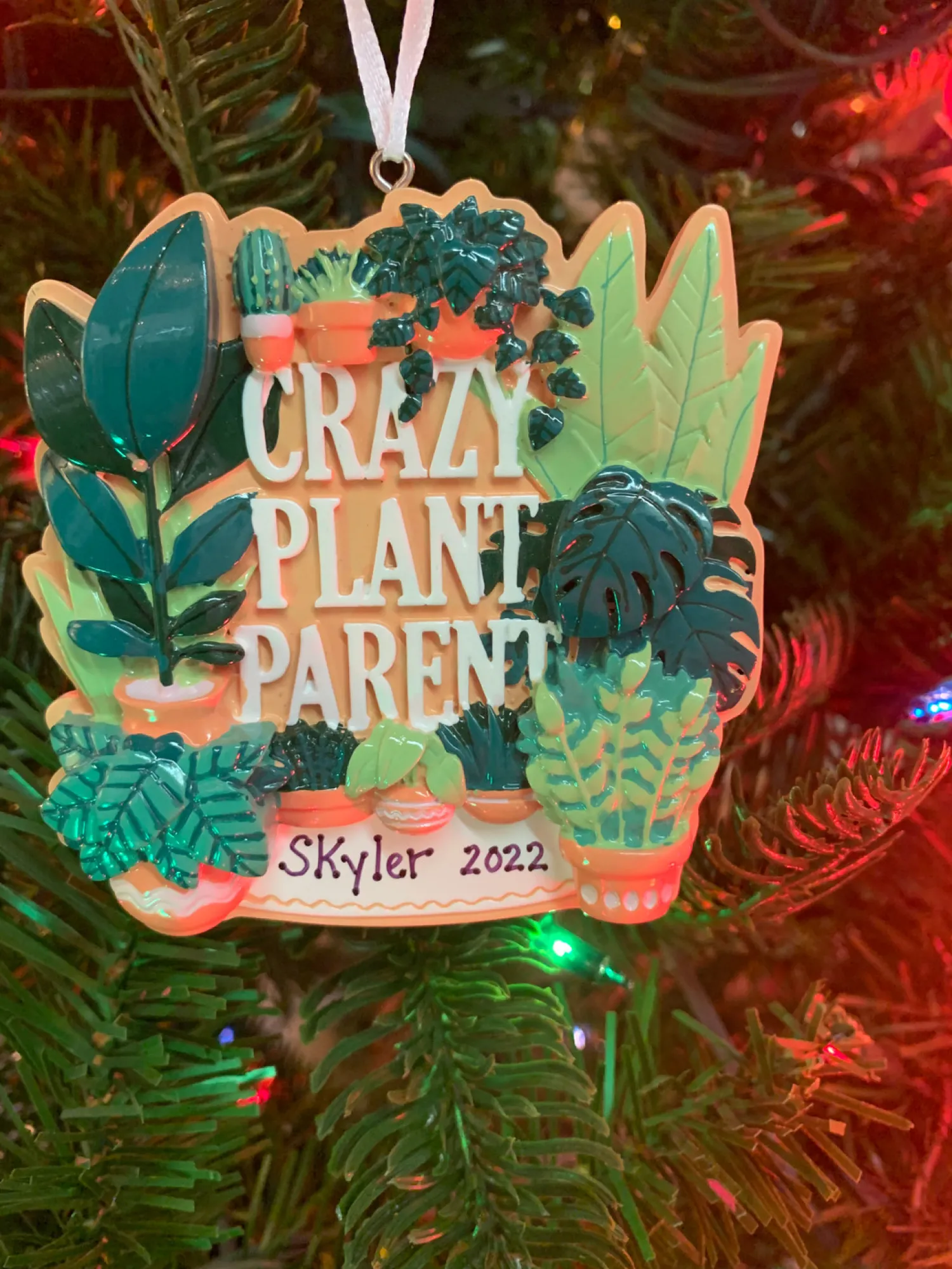 Best The Jolly Christmas Shop Crazy Plant Parent House Plants Personalized Christmas Ornament OR2288
