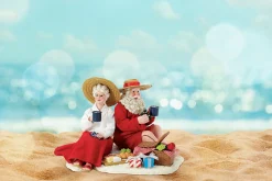 Hot The Jolly Christmas Shop Department 56 Possible Dreams Life Is A Picnic Santa And Mrs. Figure 6012189