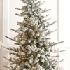 Clearance The Jolly Christmas Shop Raz 7.5', 9', Or 12' O Tannenbaum Snowy Rocky Mountain Spruce Christmas Tree With LED Lights