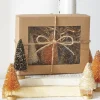 Online The Jolly Christmas Shop Raz 4.25" Box Of Halloween Bottle Brush Trees 4220041