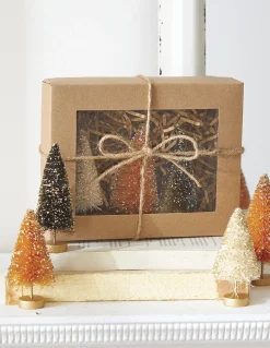 Online The Jolly Christmas Shop Raz 4.25" Box Of Halloween Bottle Brush Trees 4220041