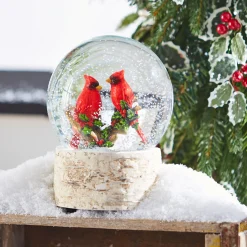Outlet The Jolly Christmas Shop Raz 6.5" Cardinal Musical Christmas Snow Globe 3940512
