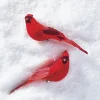Clearance The Jolly Christmas Shop Raz 7" Clip On Cardinal Christmas Ornament 4053314