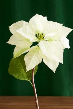 New The Jolly Christmas Shop Raz 24.5" Cream Poinsettia Stem Christmas Tree Accessory F4341710