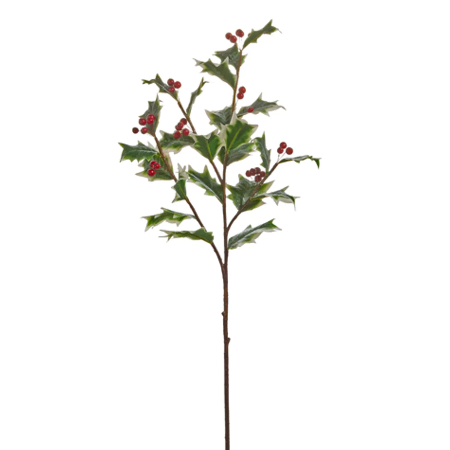 Hot The Jolly Christmas Shop Raz 31" Glittered Variegated Holly Christmas Tree Spray F4422631