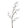 Outlet The Jolly Christmas Shop Raz 39" Iced Branch Christmas Tree Pick F4217561