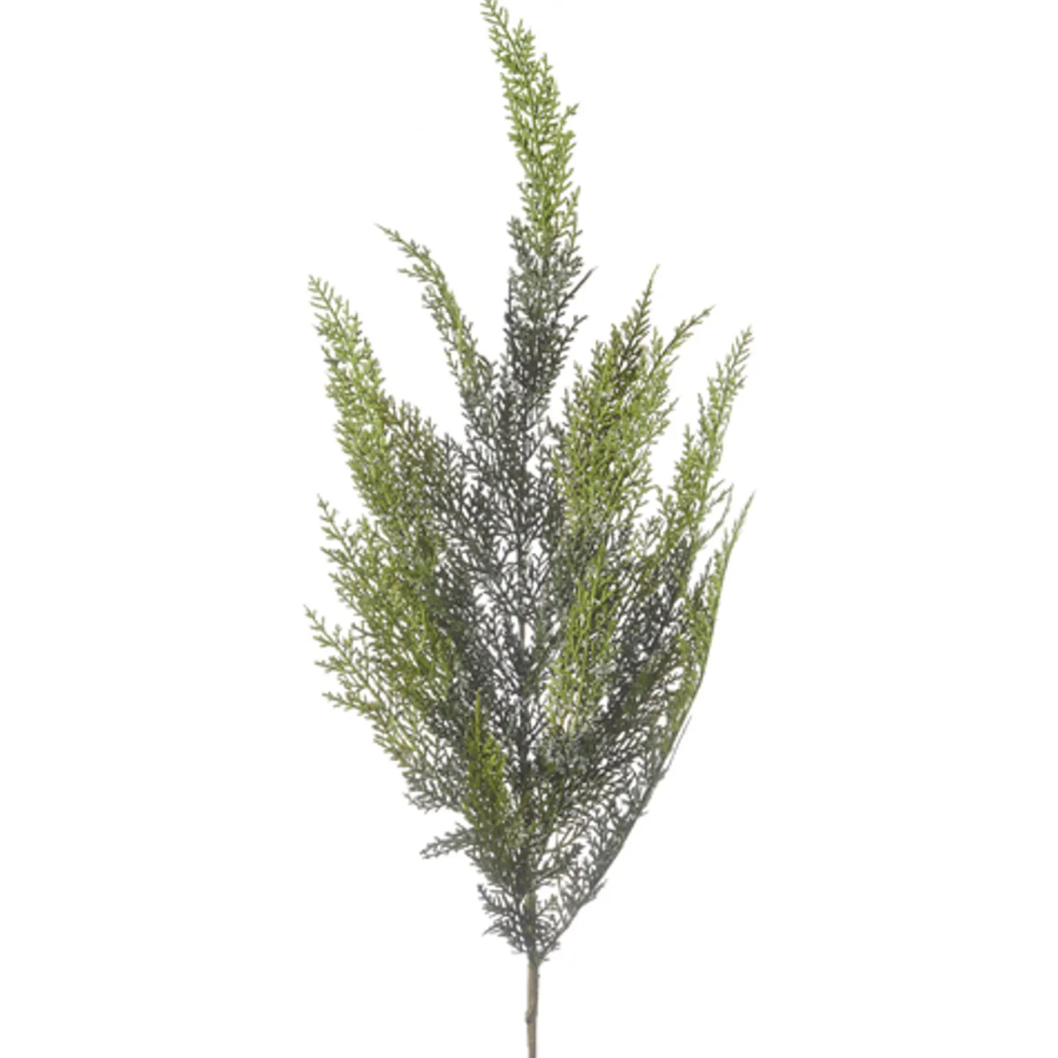 New The Jolly Christmas Shop Raz 40" Iced Cedar Spray Christmas Tree Pick F4341738
