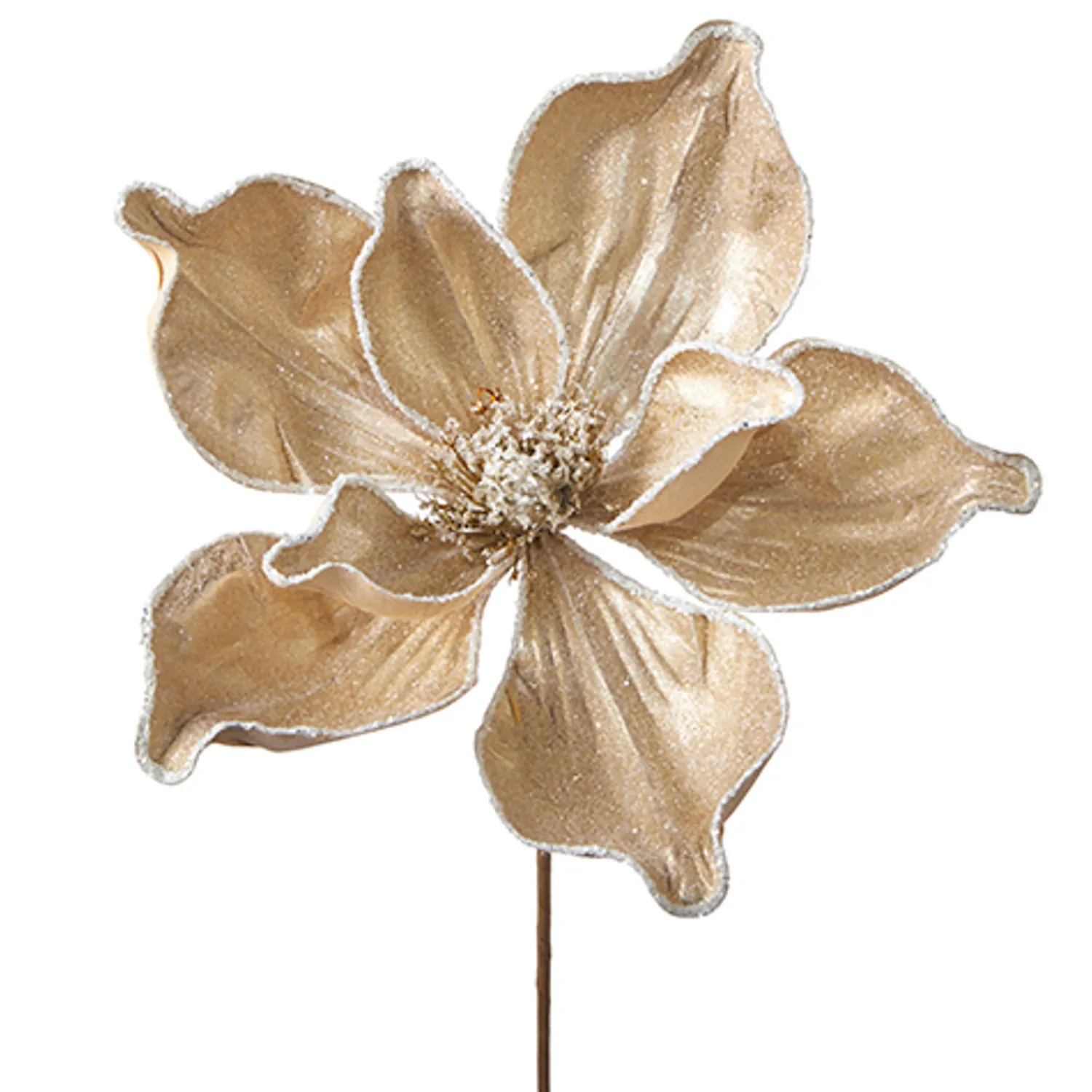 The Jolly Christmas Shop Raz 24" Iced Champagne Magnolia Stem Christmas Tree Spray F4206772