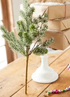 Outlet The Jolly Christmas Shop Raz 20" Iced Pine Christmas Tree Pick F4206751