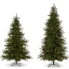 Clearance The Jolly Christmas Shop Raz 7.5' Or 9' O Tannenbaum Aspen Fir Real Feel Christmas Tree With Brilliant LED Lights
