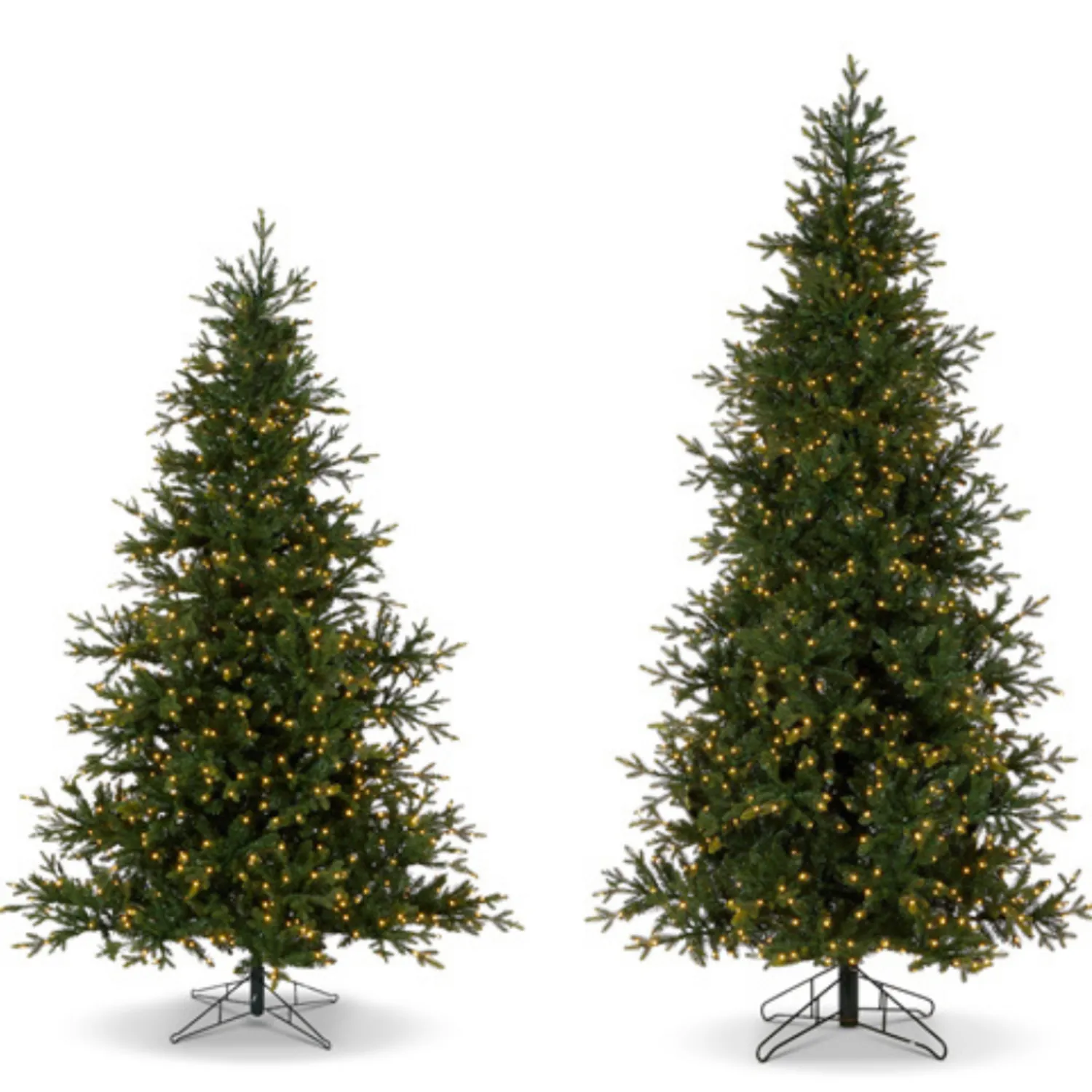Clearance The Jolly Christmas Shop Raz 7.5' Or 9' O Tannenbaum Aspen Fir Real Feel Christmas Tree With Brilliant LED Lights