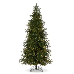 Clearance The Jolly Christmas Shop Raz 7.5' Or 9' O Tannenbaum Aspen Fir Real Feel Christmas Tree With Brilliant LED Lights
