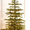 The Jolly Christmas Shop Raz 7.5' Or 9' O Tannenbaum Norwegian Spruce Real Feel Christmas Tree With Brilliant LED Lights