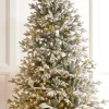 Clearance The Jolly Christmas Shop Raz 7.5' Or 9' O Tannenbaum Snowy Nordic Fir Christmas Tree With Brilliant LED Lights
