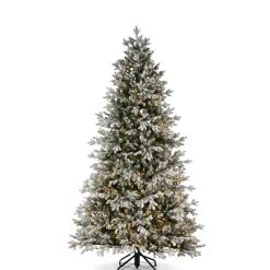 Clearance The Jolly Christmas Shop Raz 7.5' Or 9' O Tannenbaum Snowy Nordic Fir Christmas Tree With Brilliant LED Lights