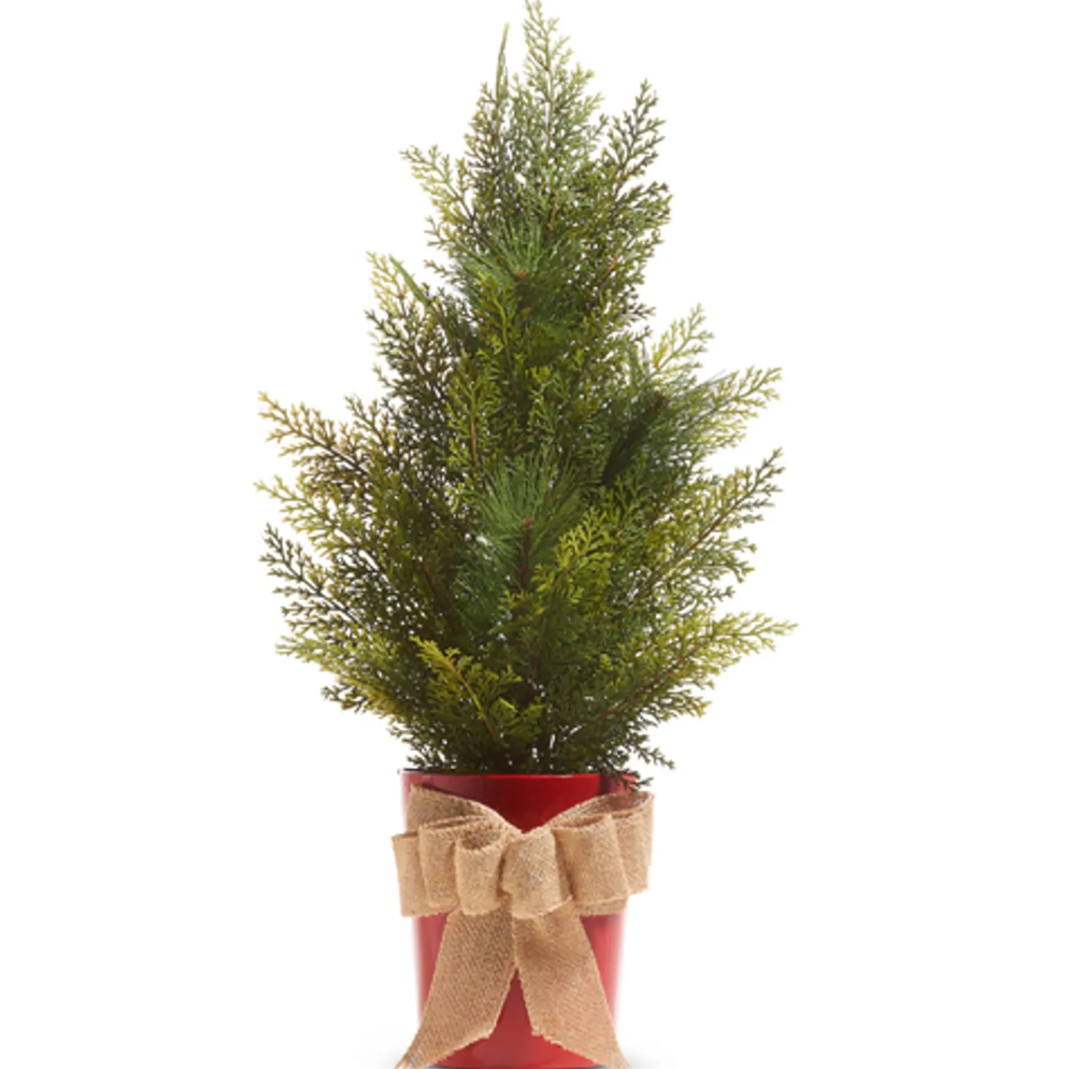 Online The Jolly Christmas Shop Raz 27" Or 35" Potted Half Wall Hanging Christmas Tree