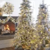 New The Jolly Christmas Shop Raz 7.5' Or 9' Pre Lit Flocked Pine Christmas Tree