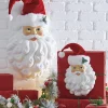Sale The Jolly Christmas Shop Raz 12" Or 21" Santa Face Wall Art Christmas Decoration