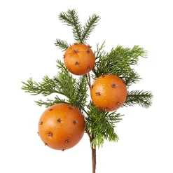 Online The Jolly Christmas Shop Raz 15" Orange Pomander And Cedar Pick Christmas Tree Spray F4202481