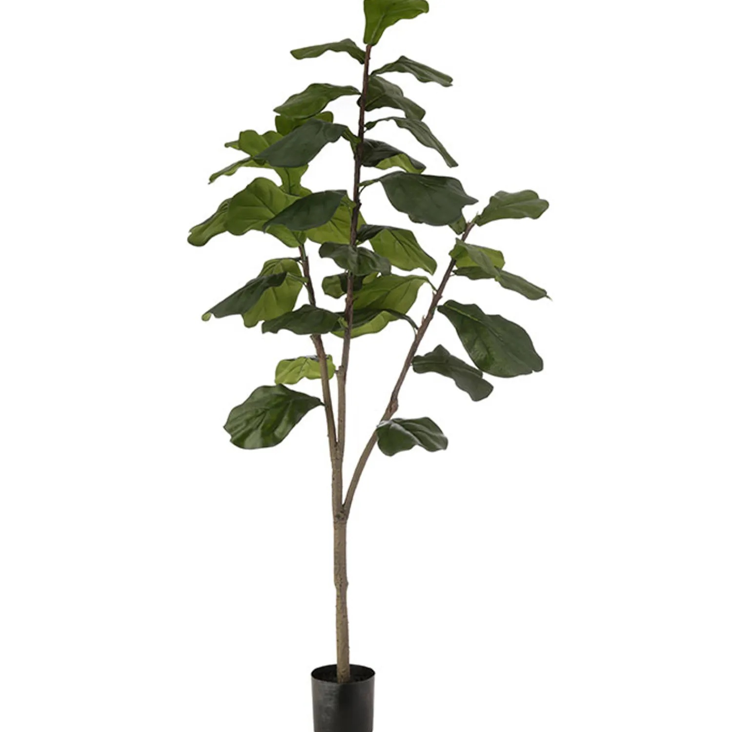 Clearance The Jolly Christmas Shop Raz 54" Potted Fiddle Leaf Fig Artificial Tree Decoration 3902097