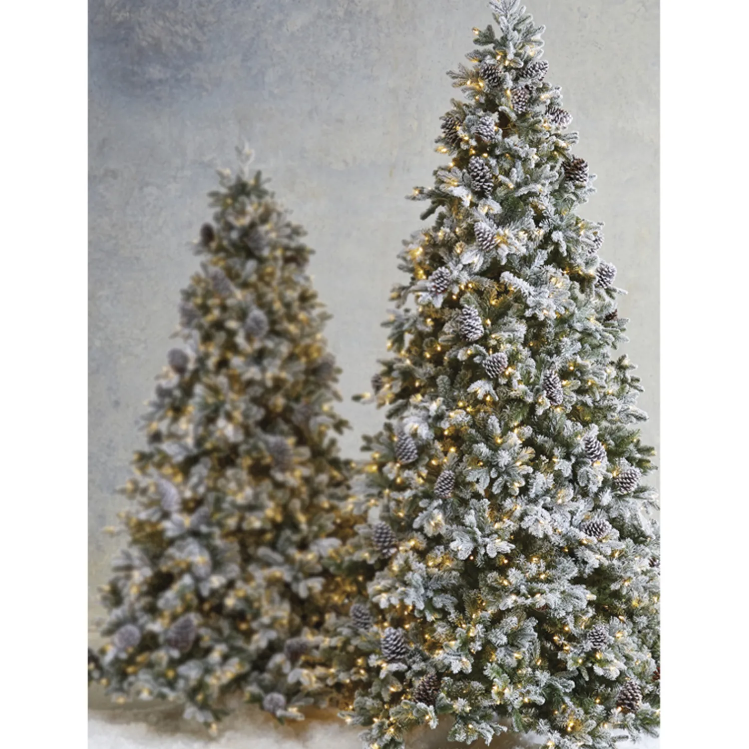 New The Jolly Christmas Shop Raz 7.5' Pre-Lit Flocked Spruce Christmas Tree W/ Clear Lights T4052012