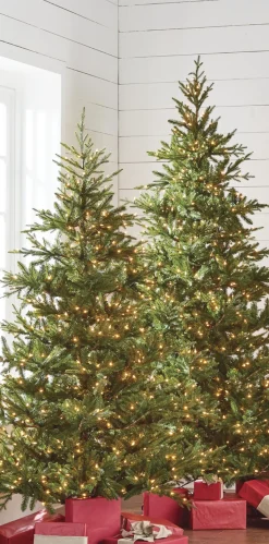 Best The Jolly Christmas Shop Raz 7.5' Pre-lit Green Mountain Fraser Fir Christmas Tree T4147025