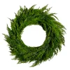 Best The Jolly Christmas Shop Raz 28" Real Feel Cedar Branch Christmas Wreath W4422704