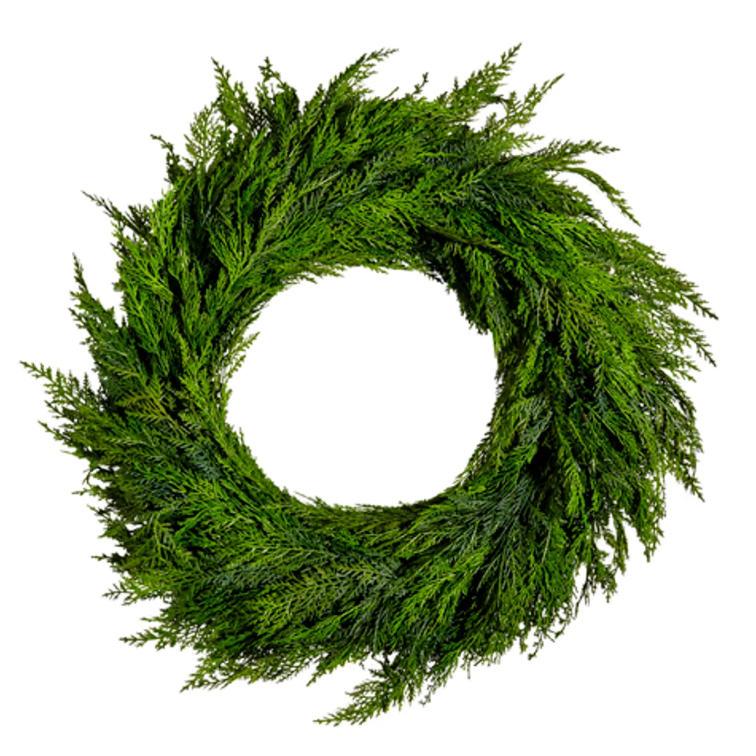 Best The Jolly Christmas Shop Raz 28" Real Feel Cedar Branch Christmas Wreath W4422704