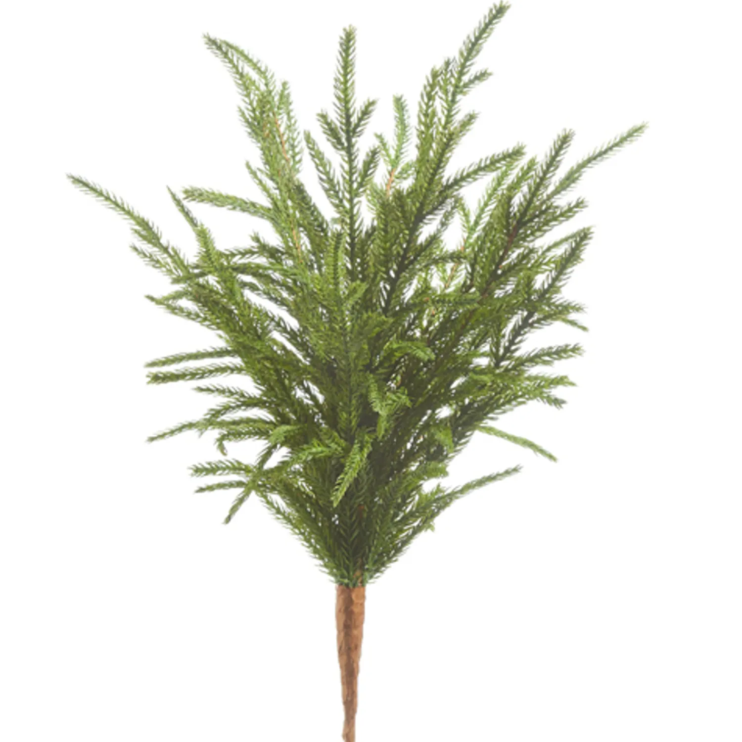 Hot The Jolly Christmas Shop Raz 18" Real Feel Norfolk Pine Christmas Tree Pick F4302383