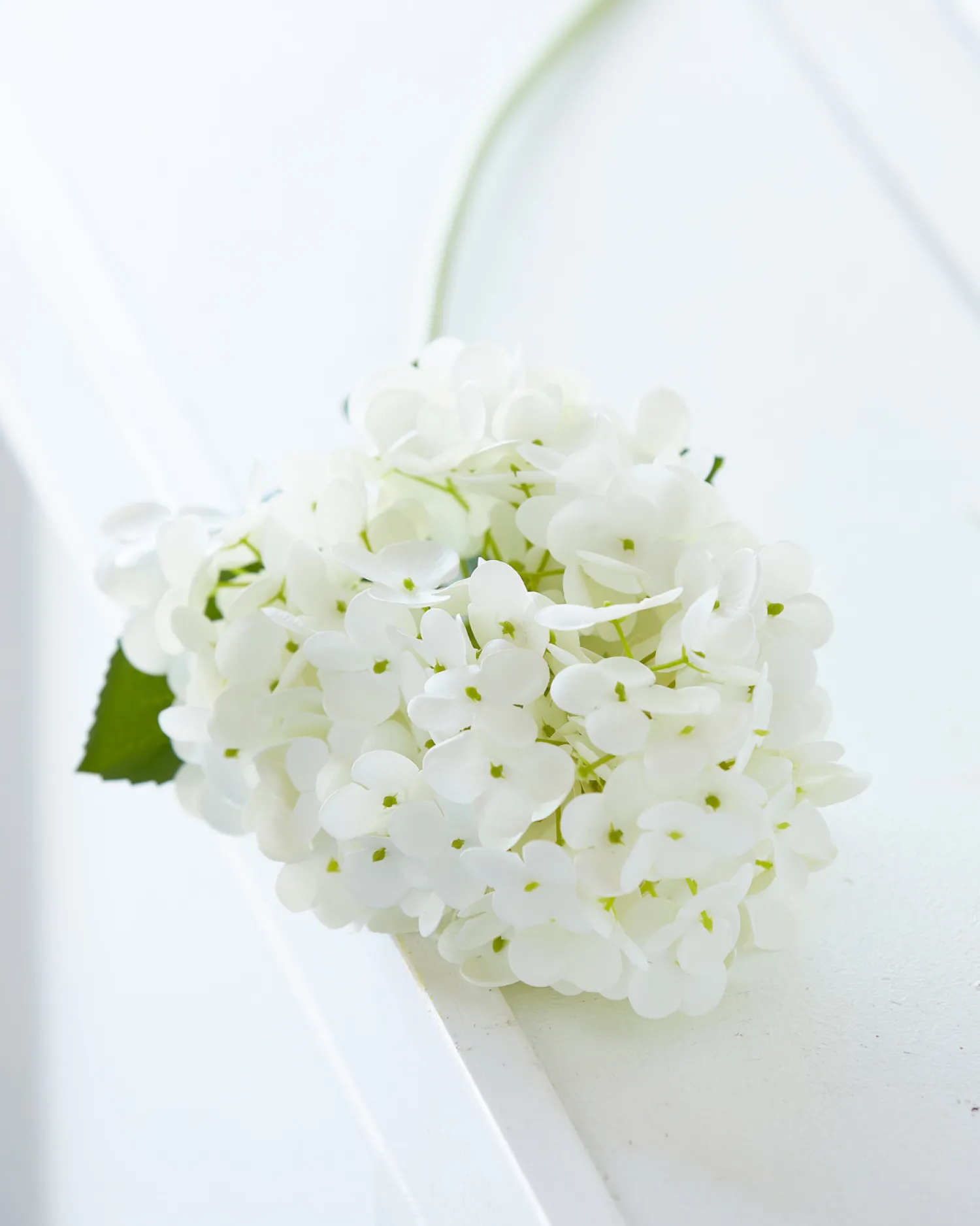 The Jolly Christmas Shop Raz 29" Real Feel White Hydrangea Stem F4441834