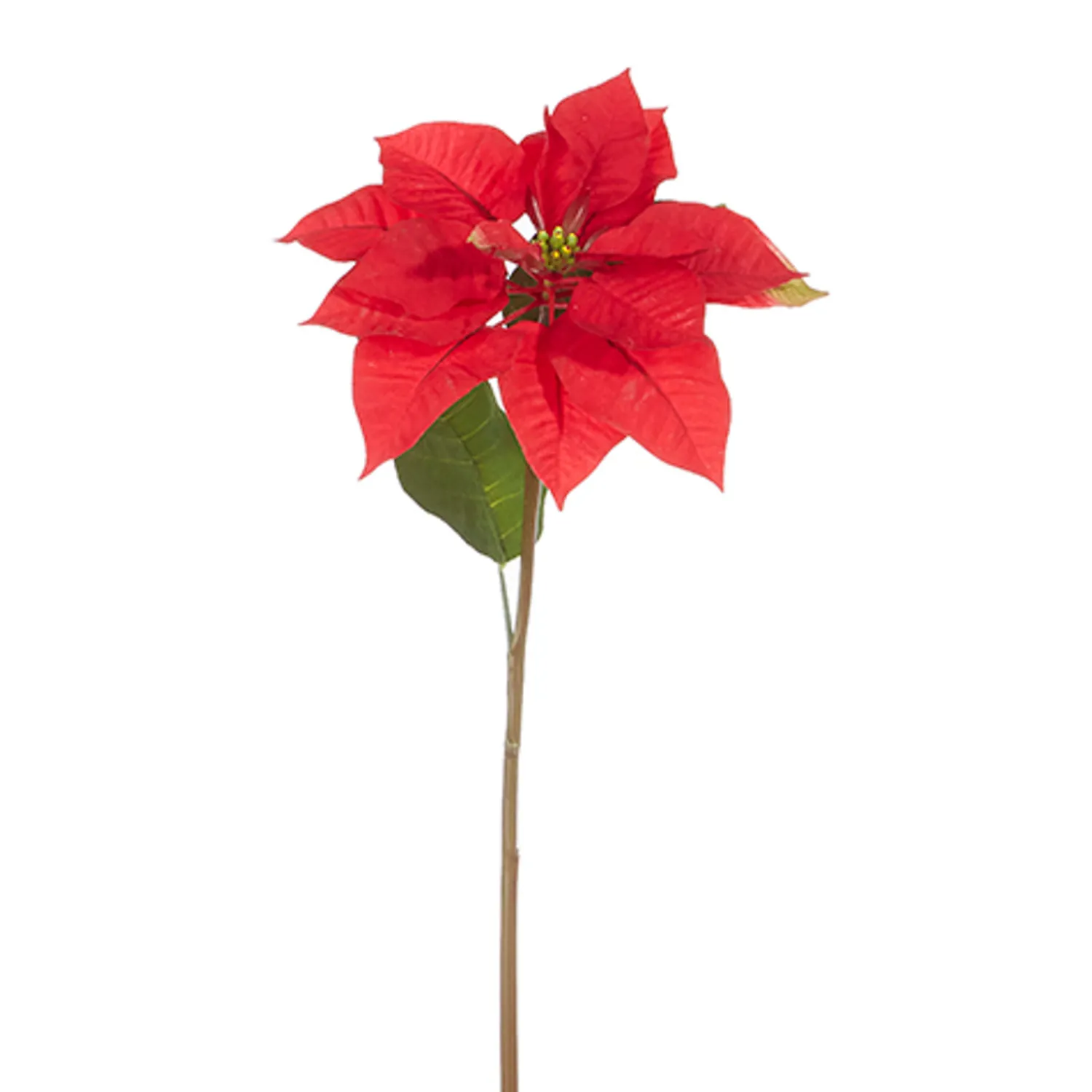 New The Jolly Christmas Shop Raz 24.5" Red Poinsettia Stem Christmas Tree Accessory F4322766