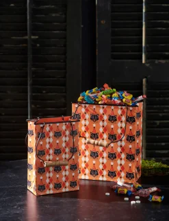 Clearance The Jolly Christmas Shop Raz 10" Retro Party Cat Bag Metal Container Halloween Decoration Set 2 4411222