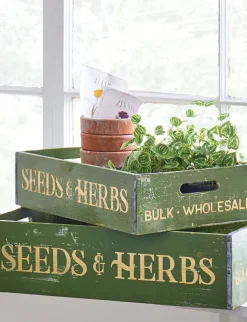 Online The Jolly Christmas Shop Raz 18" Seeds And Herbs Crates Set Of 2 4211218