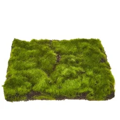 Online The Jolly Christmas Shop Raz 11.5" Sheet Of Moss Decoration 4222701