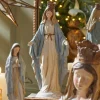 The Jolly Christmas Shop Raz 15" Standing Virgin Mary Christmas Figure 4411311