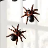 New The Jolly Christmas Shop Raz Eric Cortina 4" Along Came A Spider Glass Halloween Ornament 4453115